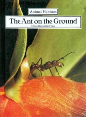 Book cover for The Ant on the Ground