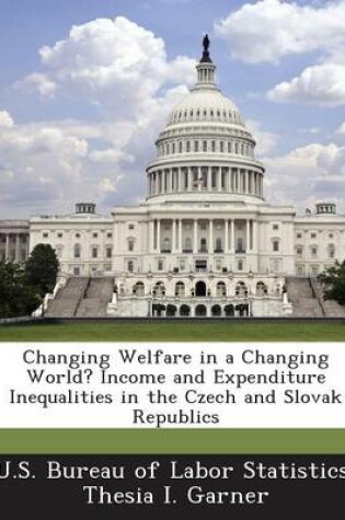 Cover of Changing Welfare in a Changing World? Income and Expenditure Inequalities in the Czech and Slovak Republics