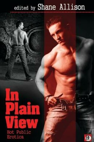 Cover of In Play View