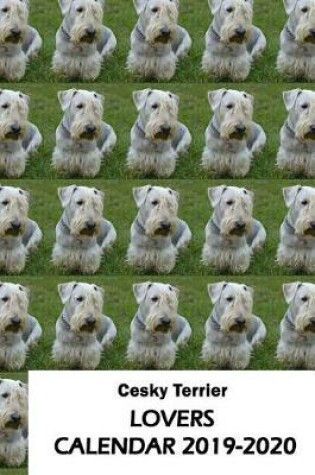 Cover of Cesky Terrier Lovers Calendar 2019-2020