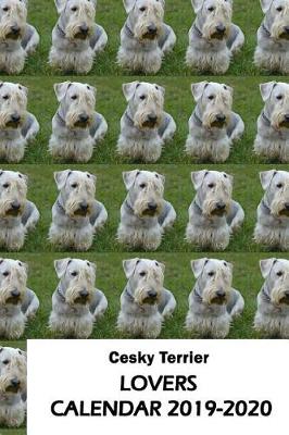 Book cover for Cesky Terrier Lovers Calendar 2019-2020