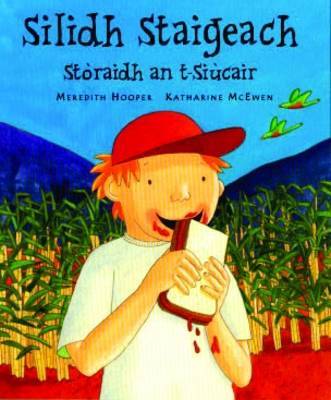 Book cover for Silidh Staigeach