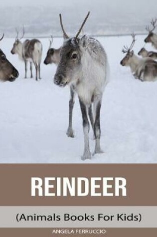 Cover of Reindeer (Animals Books For Kids)