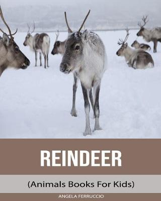 Book cover for Reindeer (Animals Books For Kids)