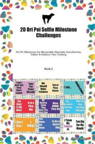 Cover of 20 Ori Pei Selfie Milestone Challenges