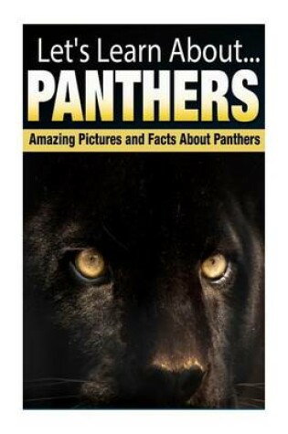 Cover of Panthers