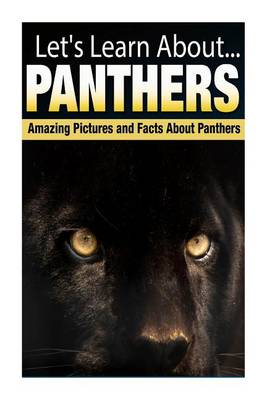 Book cover for Panthers