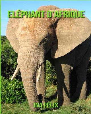 Book cover for Elephant d'Afrique