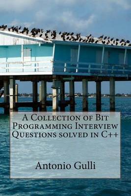 Cover of A Collection of Bit Programming Interview Questions solved in C++