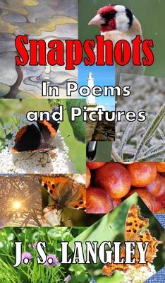 Book cover for Snapshots