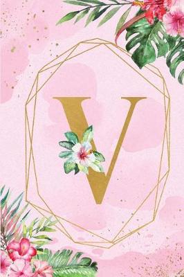 Book cover for V