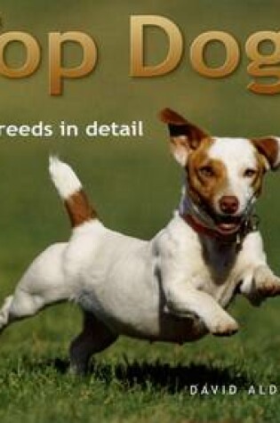 Cover of Top Dogs