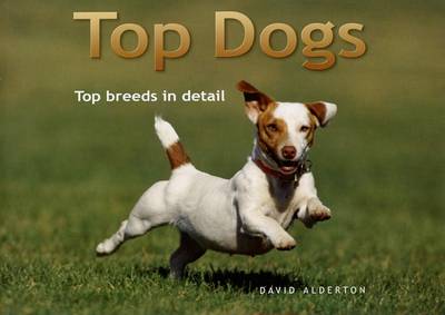 Book cover for Top Dogs