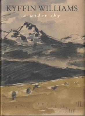 Book cover for Wider Sky, A