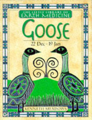Book cover for Little Earth Medicine:  10 Goose