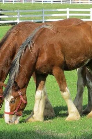 Cover of Grazing Clydesdale Horse Journal