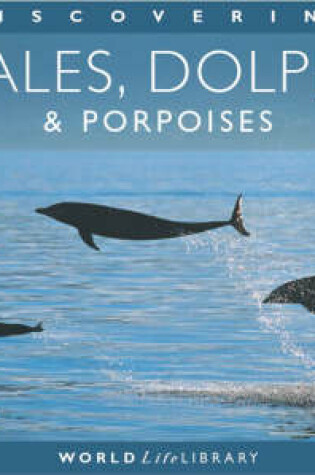 Cover of Discovering Whales, Dolphins and Porpoises