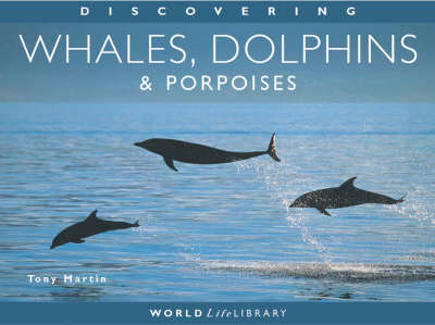 Cover of Discovering Whales, Dolphins and Porpoises