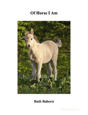 Book cover for Of Horse I Am