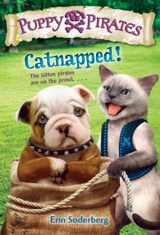 Book cover for Catnapped!