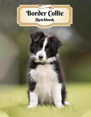 Book cover for Border Collie Sketchbook