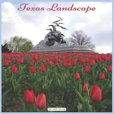 Book cover for Texas Landscape 2021 Wall Calendar