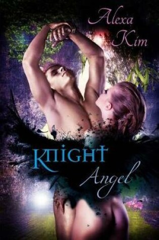 Cover of Knight Angel