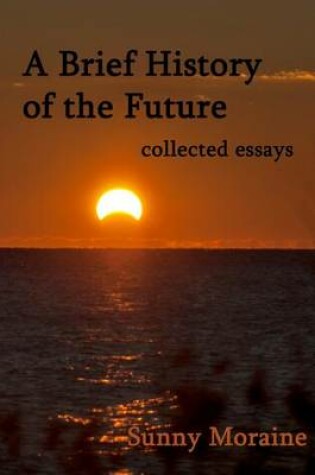 Cover of A Brief History of the Future