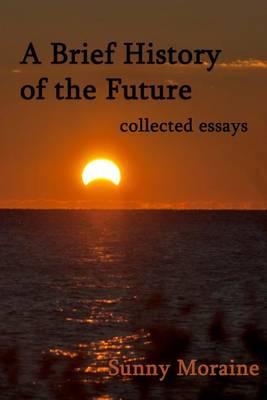 Book cover for A Brief History of the Future