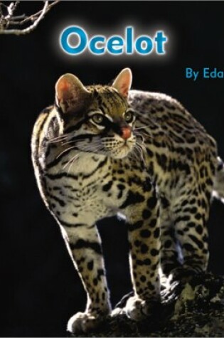 Cover of Ocelot