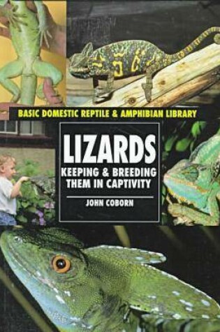 Cover of Lizards