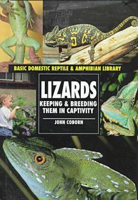 Book cover for Lizards