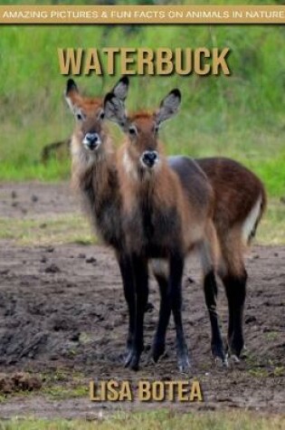 Cover of Waterbuck