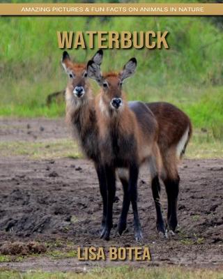 Book cover for Waterbuck