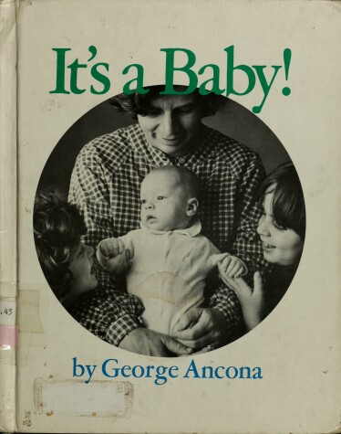 Book cover for It's a Baby]