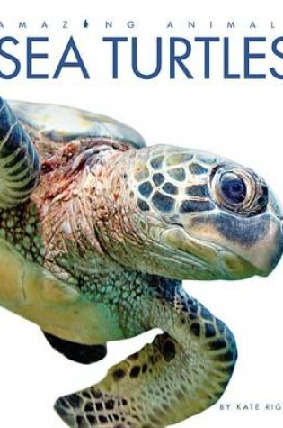 Cover of Amazing Animals Sea Turtles