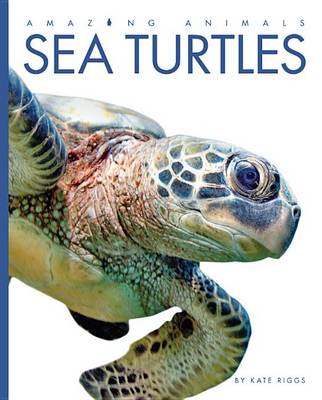 Book cover for Amazing Animals Sea Turtles