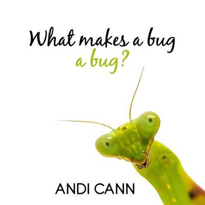 Cover of What Makes a Bug a Bug?
