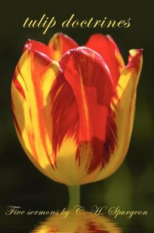 Cover of tulip doctrines