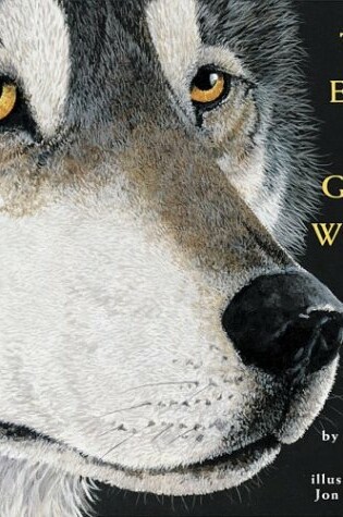 Cover of Eyes of Gray Wolf