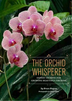 Book cover for Orchid Whisperer