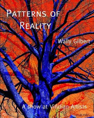 Book cover for Patterns of Reality