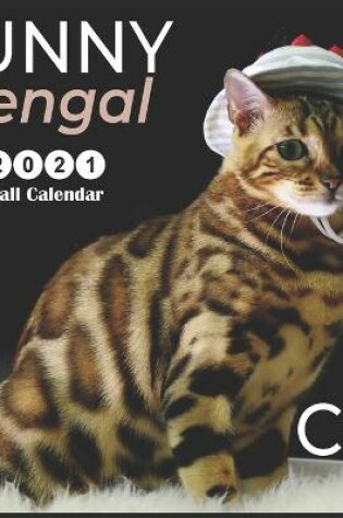 Cover of FUNNY Bengal CAT