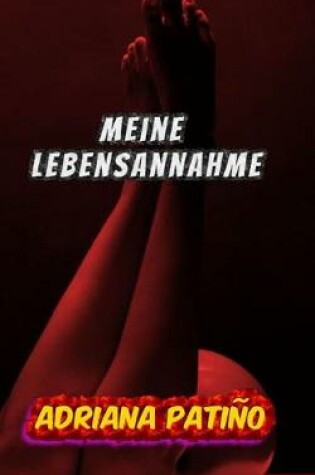 Cover of Meine Lebensannahme
