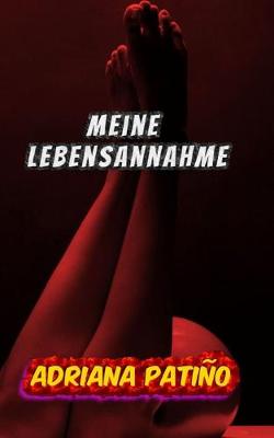 Book cover for Meine Lebensannahme