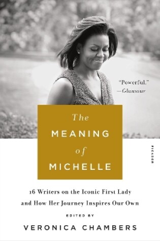 Cover of The Meaning of Michelle