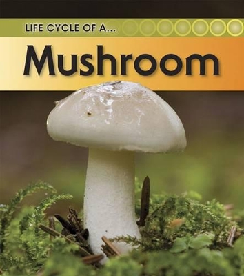 Cover of Mushroom