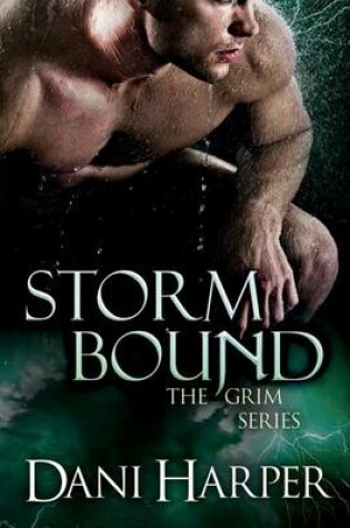 Cover of Storm Bound