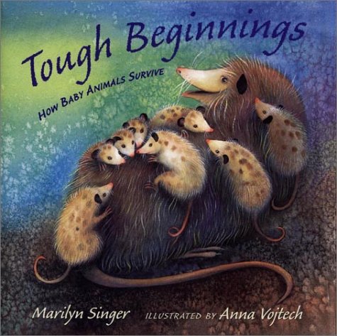 Book cover for Tough Beginnings