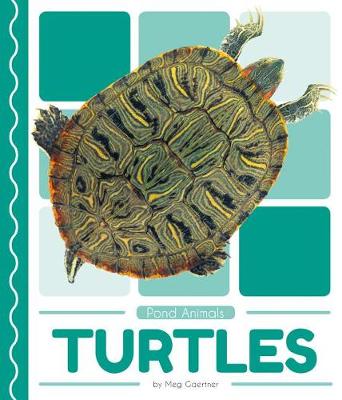 Cover of Turtles